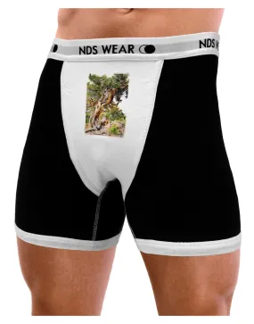 Bristlecone Pines Mens Boxer Brief Underwear