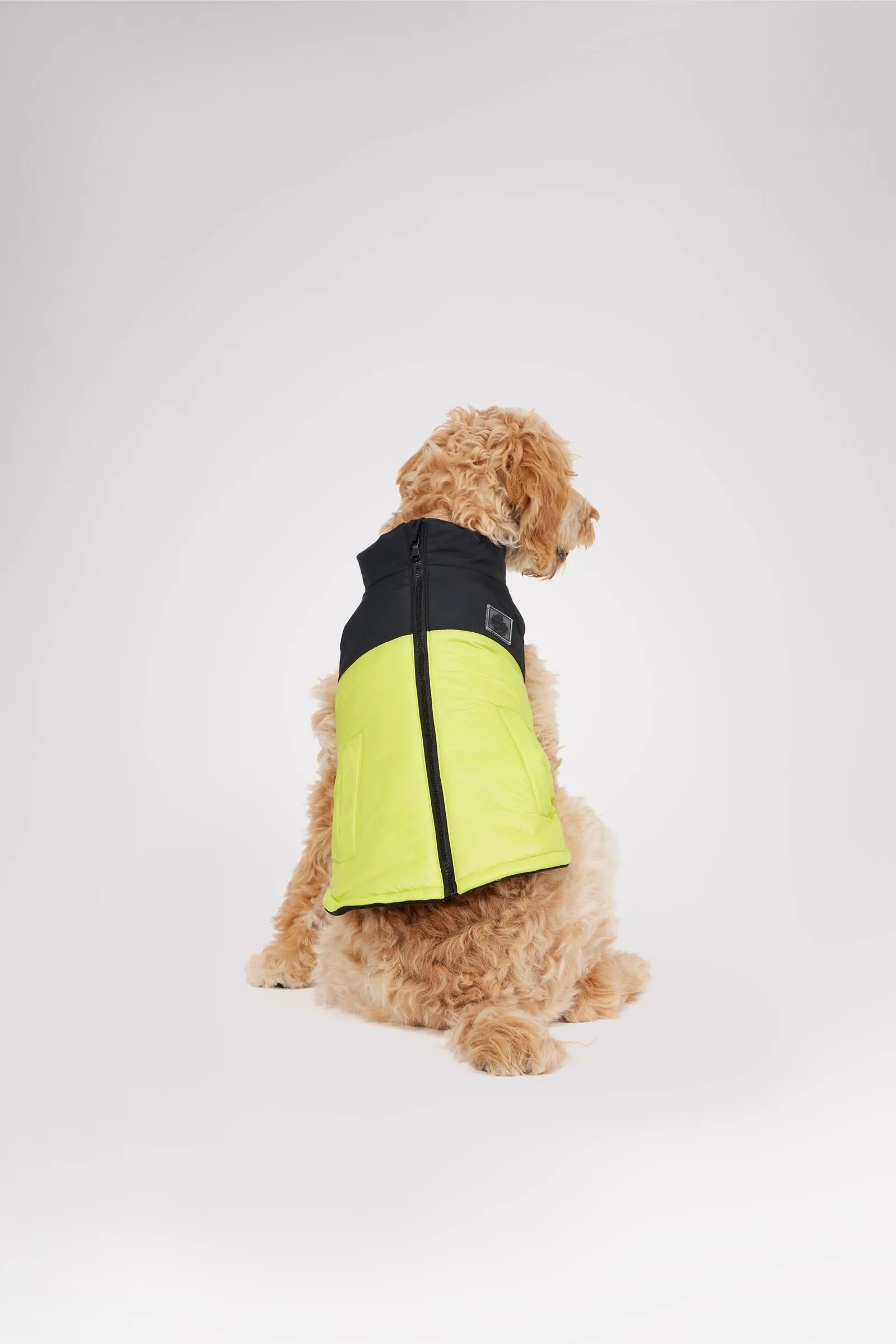 Derby Sporty Jacket for Dogs