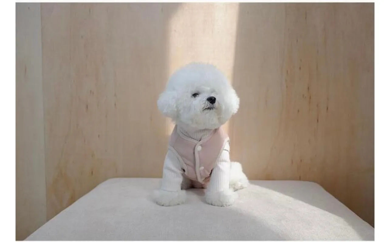 Light Warm Vest Dog Winter Cloth_ Pink